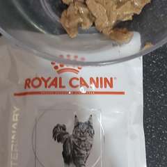 Фото отзыва 10703934