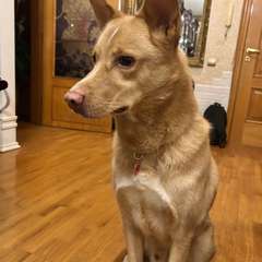 Фото отзыва 11069674