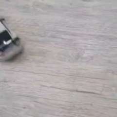 Видео отзыва 10787171