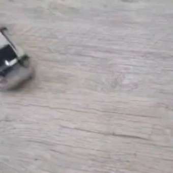 Автомобиль РУ Rastar Porsche 1:24: отзыв пользователя Детский Мир