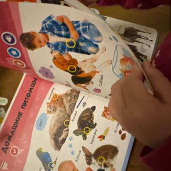 Комплект говорящих книжек BertToys Нажималки: Животные + Русский алфавит: отзыв пользователя Детский Мир