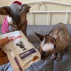 Фото отзыва 10757090