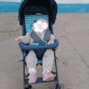 Коляска прогулочная Babyton Zoo Blue синий: отзыв пользователя ДетМир