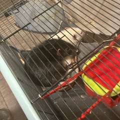 Фото отзыва 11069668