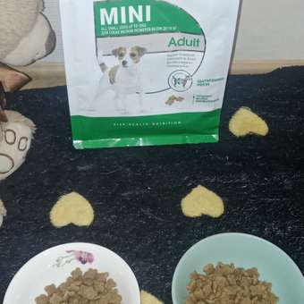 Корм для собак ROYAL CANIN мелких пород 800г: отзыв пользователя. Зоомагазин Зоозавр