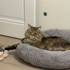 Фото отзыва 10713404