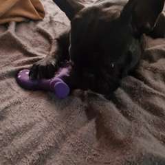 Видео отзыва 10508346