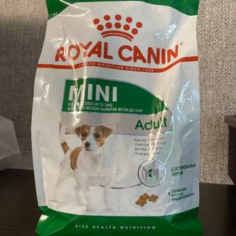 Корм для собак ROYAL CANIN мелких пород 800г: отзыв пользователя. Зоомагазин Зоозавр