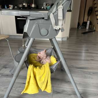 Стульчик для кормления Babyton Bueno Grey серый: отзыв пользователя Детский Мир