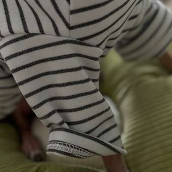 Водолазка для собак и кошек Зоозавр: отзыв пользователя. Зоомагазин Зоозавр