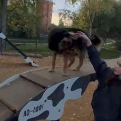 Фото отзыва 10315587