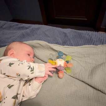 Прорезыватель Happy Baby: отзыв пользователя Детский Мир