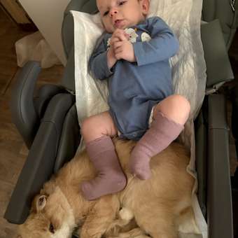 Стульчик для кормления Babyton Sweet Meals Grey серый: отзыв пользователя ДетМир