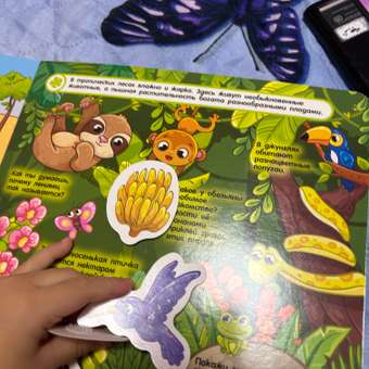 Книга Кто где живет кто что ест Книга с липучками: отзыв пользователя Детский Мир