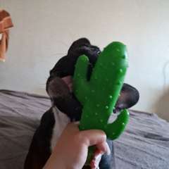 Фото отзыва 10274919