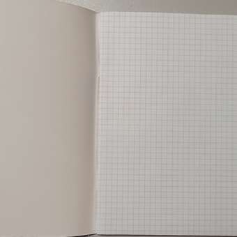 Общая тетрадь Brauberg клетка 48 лист. 5 шт.: отзыв пользователя Детский Мир