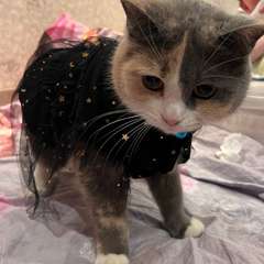 Фото отзыва 10721726