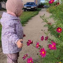 Фото отзыва 10779033