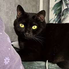 Фото отзыва 10754817