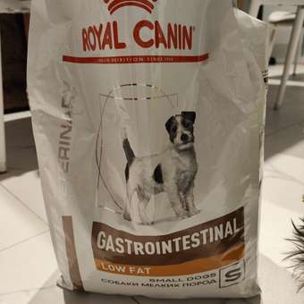 Корм для собак ROYAL CANIN Gastrointestinal low fat мелких пород 3кг: отзыв пользователя. Зоомагазин Зоозавр