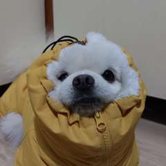 Фото отзыва 10740748