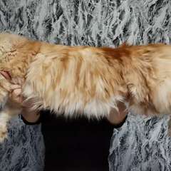 Фото отзыва 11047950