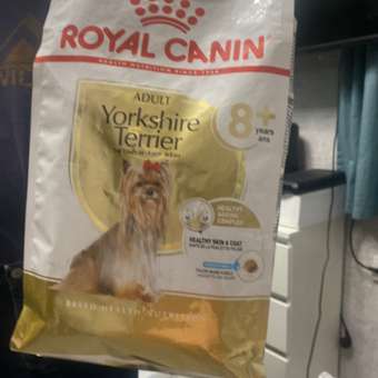 Корм для собак ROYAL CANIN породы йоркширский терьер 8+ пожилые 1.5кг: отзыв пользователя. Зоомагазин Зоозавр