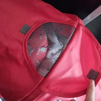 Коляска прогулочная Babyton Zoo Red: отзыв пользователя ДетМир