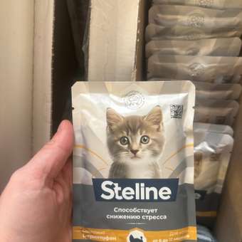 Корм для кошек Steline 85г для стерилизованных перепелка-печеное яблоко в желе: отзыв пользователя. Зоомагазин Зоозавр