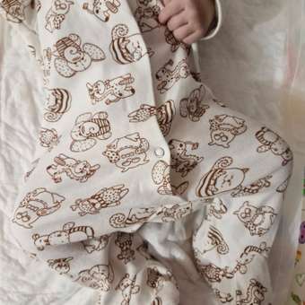 Комбинезон Рыжик: отзыв пользователя Детский Мир