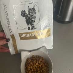 Фото отзыва 11189930