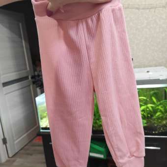 Брюки Моя Горошинка: отзыв пользователя Детский Мир