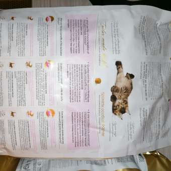 Корм для котят Royal Canin 4кг Maine Coon породы мейн-кун: отзыв пользователя. Зоомагазин Зоозавр