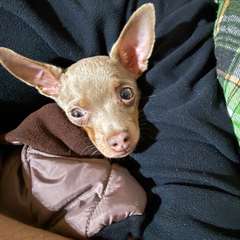 Фото отзыва 10707968