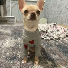 Фото отзыва 9060266