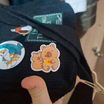 Значок Erhaft Капибара в ассортименте: отзыв пользователя Детский Мир