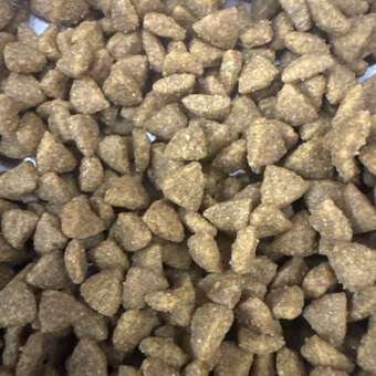 Корм для щенков ROYAL CANIN Starter мелких пород 3кг: отзыв пользователя. Зоомагазин Зоозавр