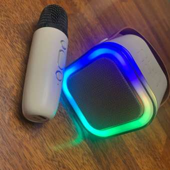 Игрушка музыкальная CASTLELADY 2 шт, караоке колонка умная микрофон: отзыв пользователя Детский Мир