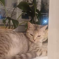 Фото отзыва 10591141