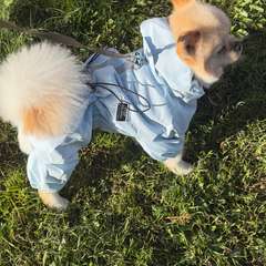 Фото отзыва 10802946