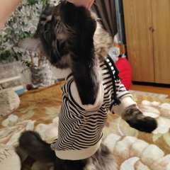 Фото отзыва 10492133