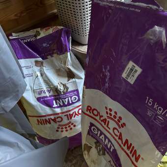 Корм для собак ROYAL CANIN гигантских пород более 45кг 15кг: отзыв пользователя. Зоомагазин Зоозавр
