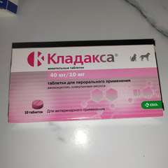 Фото отзыва 10138579