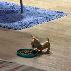 Фото отзыва 10921797