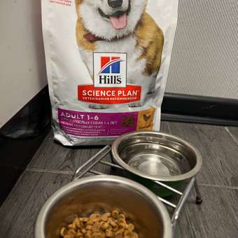 Корм для собак HILLS 1,5кг Science Plan для мелких пород с курицей: отзыв пользователя. Зоомагазин Зоозавр