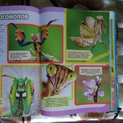 Фото отзыва 4666158