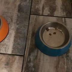 Фото отзыва 10576510