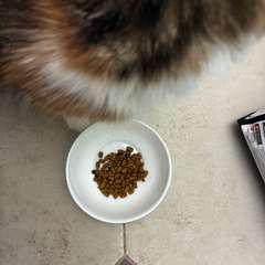 Фото отзыва 11054948