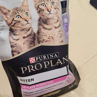 Корм сухой для котят PRO PLAN 200г с индейкой с чувствительным пищеварением: отзыв пользователя. Зоомагазин Зоозавр