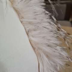 Фото отзыва 10659082